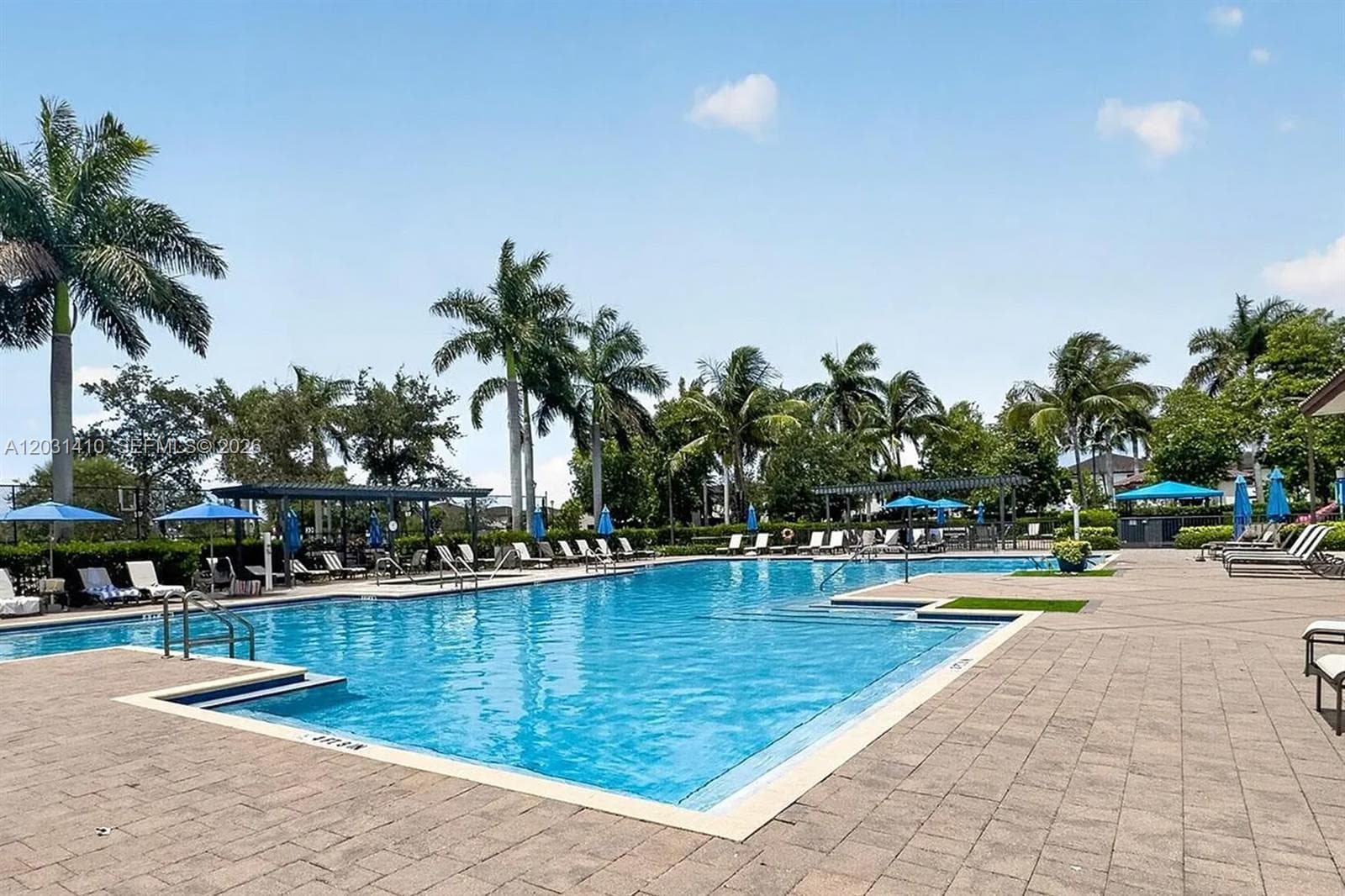 Swimming pool featuring stone paver decking, integrated metal-frame structures, and mature palm trees
