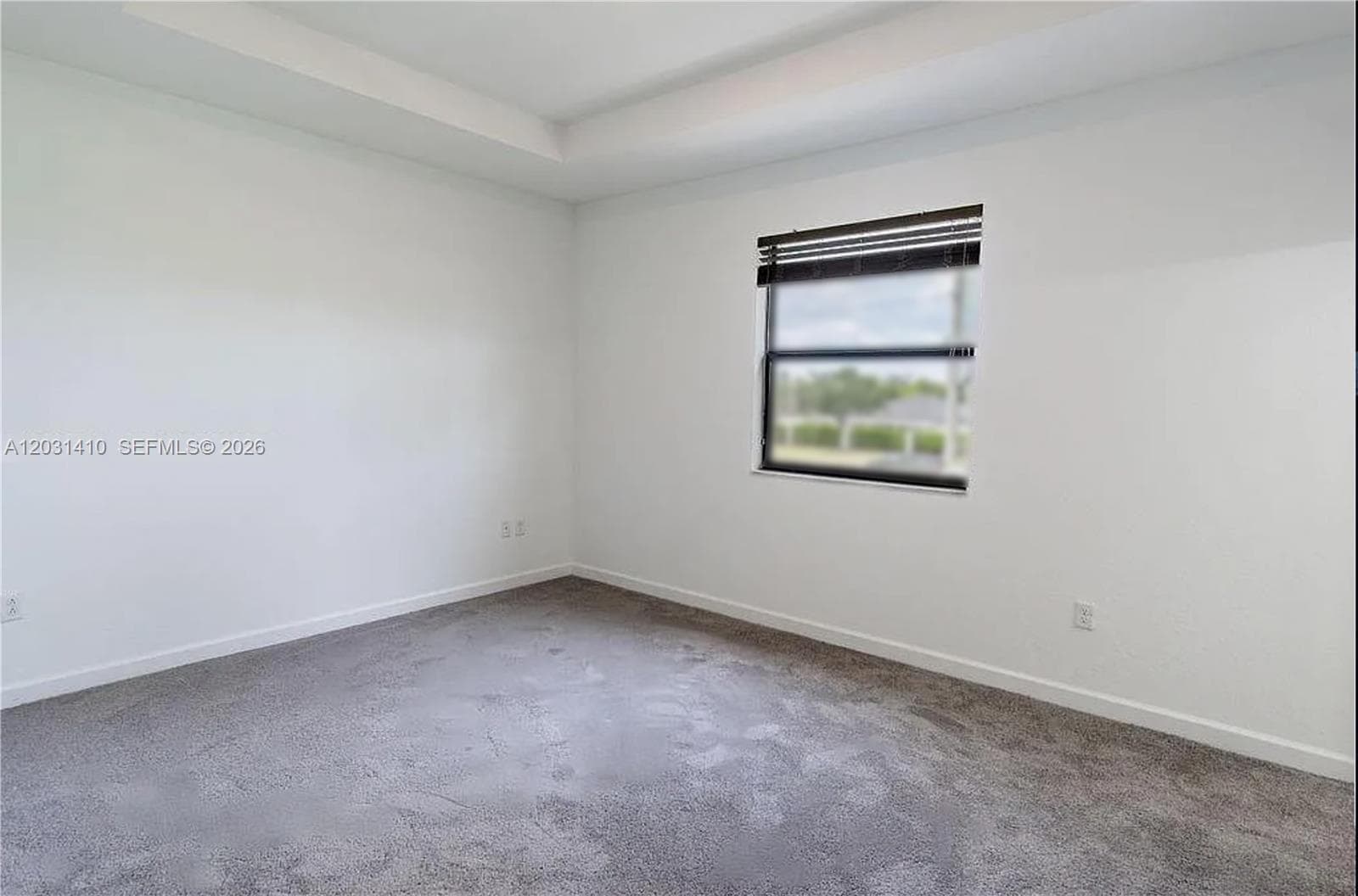Neutral interior room featuring a tray ceiling, wall-to-wall carpeting, and a single-pane window with horizontal blinds