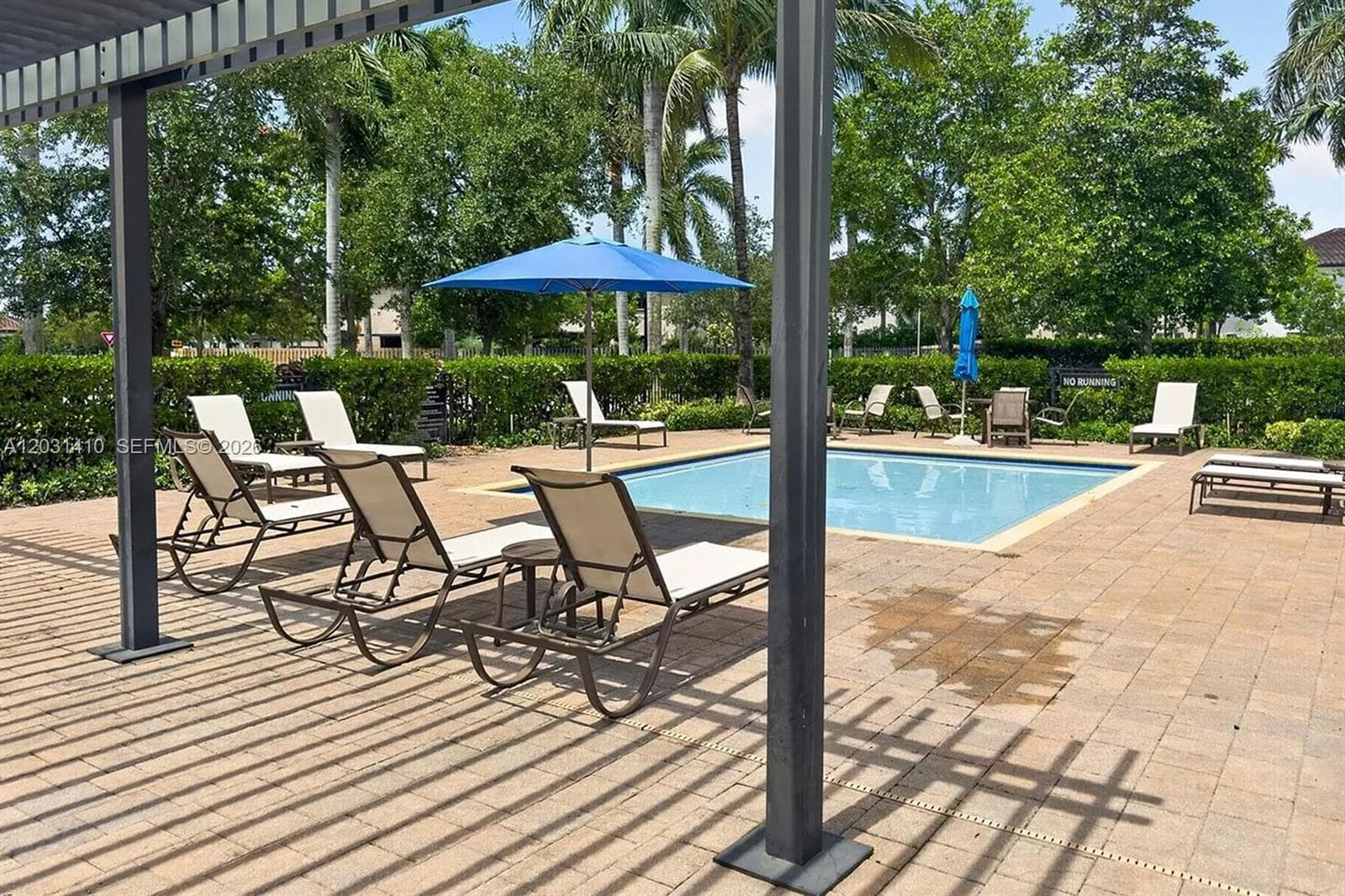 Outdoor swimming pool with a paved deck, metal pergola, and perimeter landscaping
