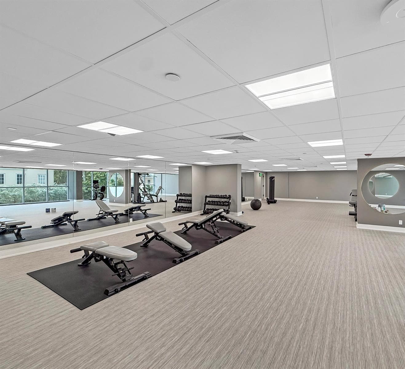 Gym - new