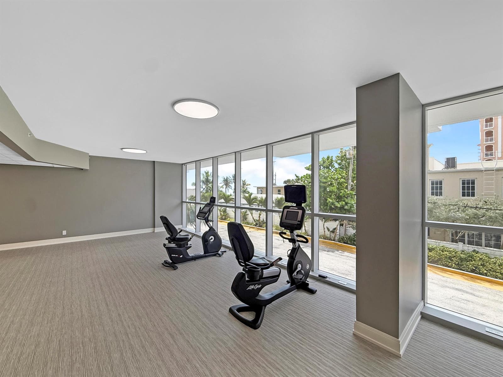 Gym - new