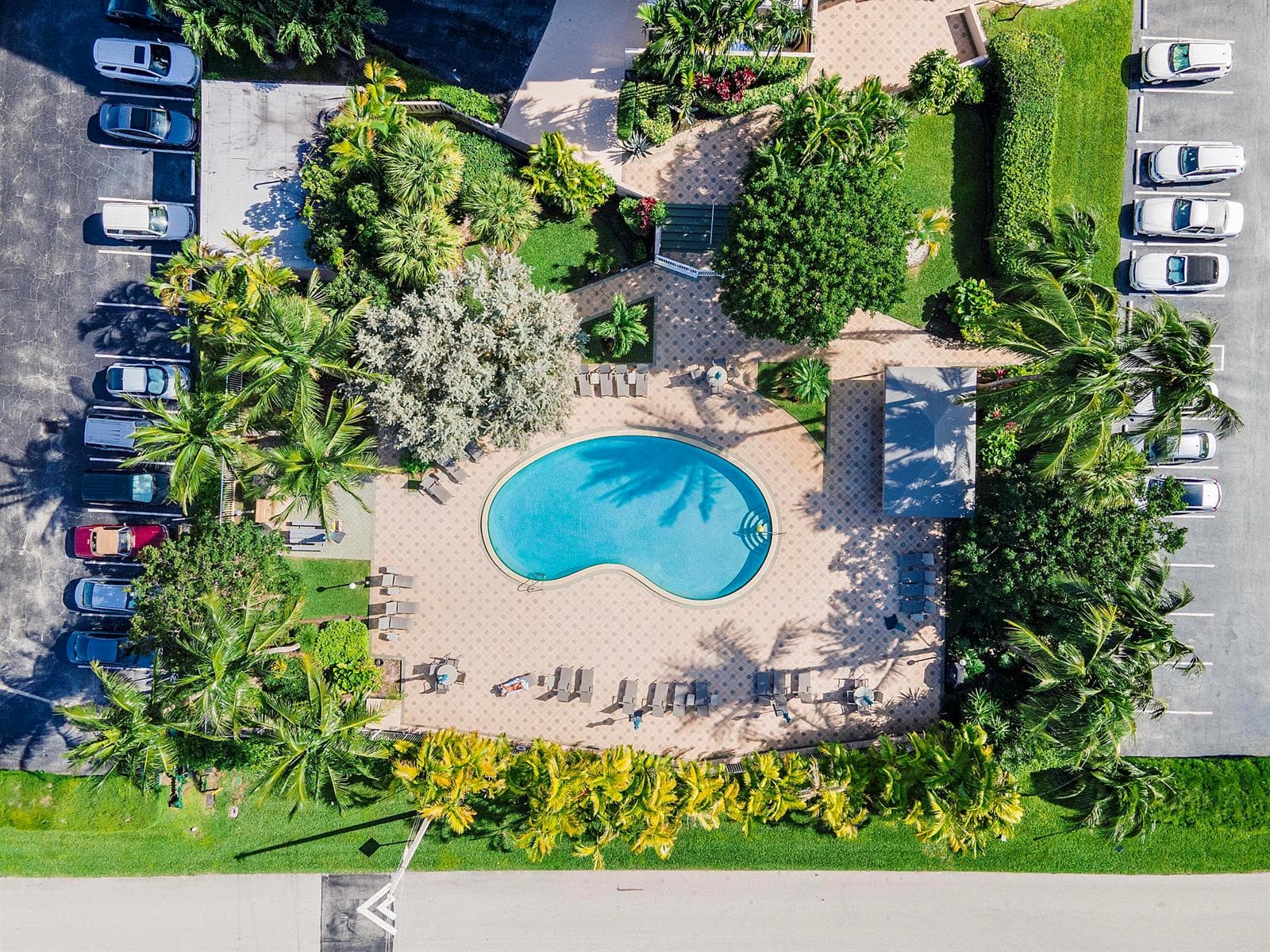 Resort Style Pool and BBQ area