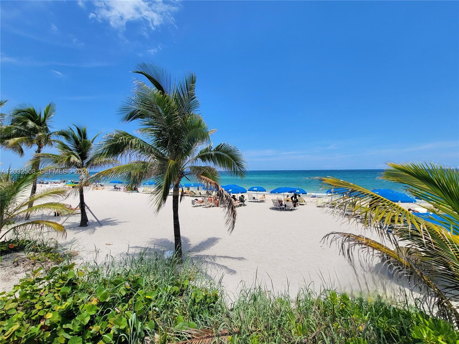 PARKER PLAZA CONDO ESTATE · #1405 in Hallandale Beach - Photo 2