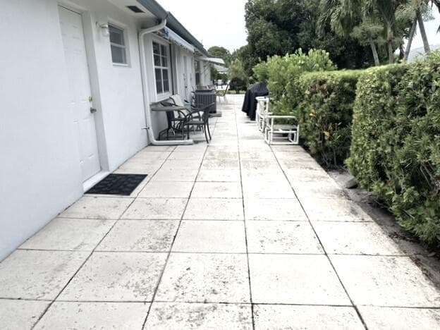 back yard view 2