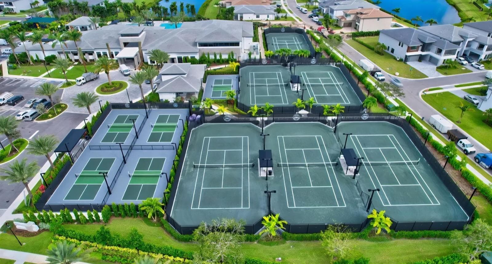 Tennis Palm