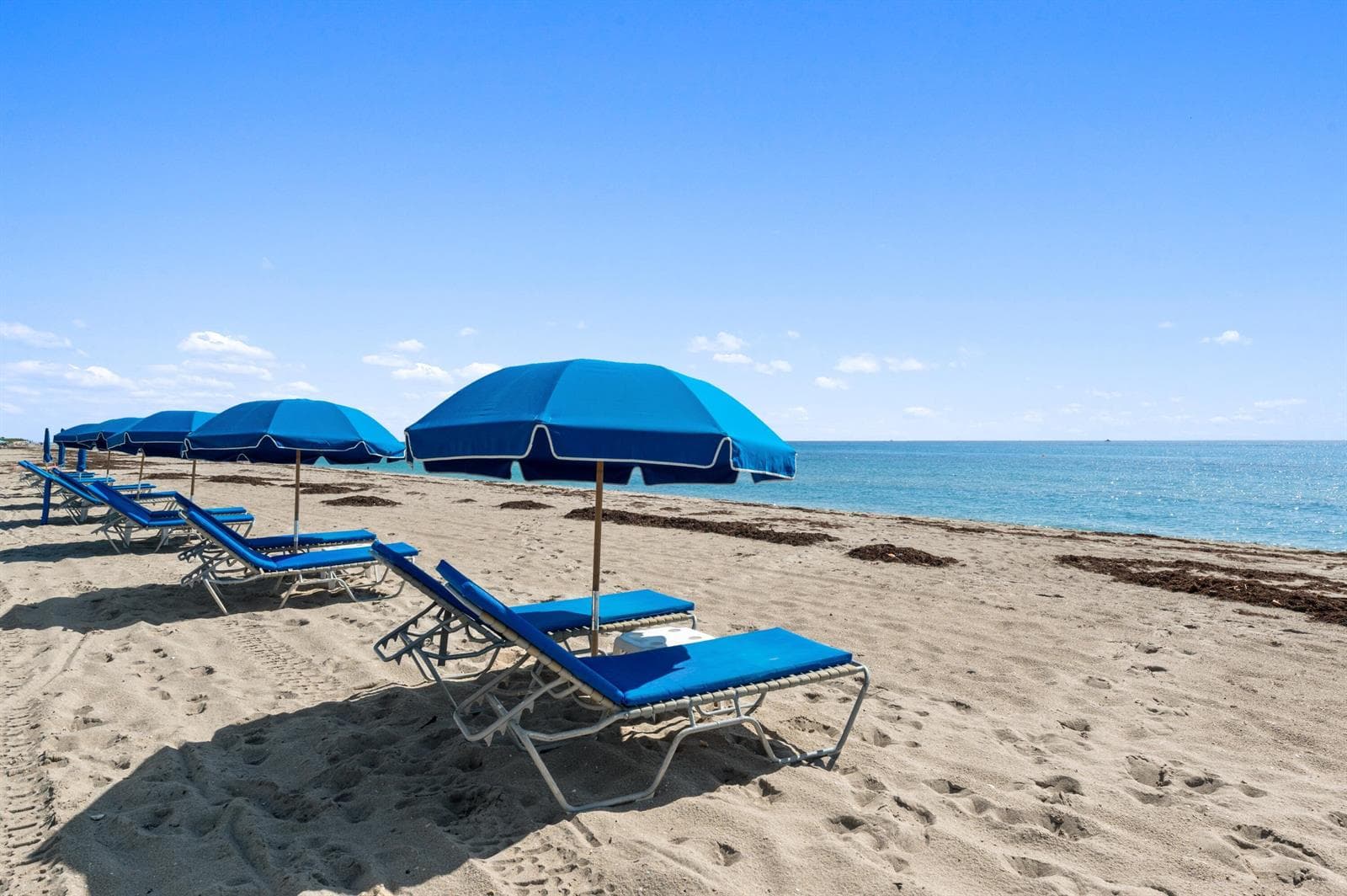 21. Beach Services