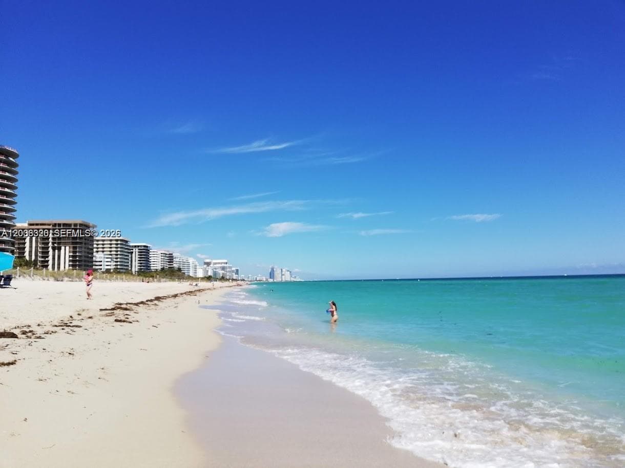 THE DOVE CONDO · #8 in Miami Beach - Photo 12