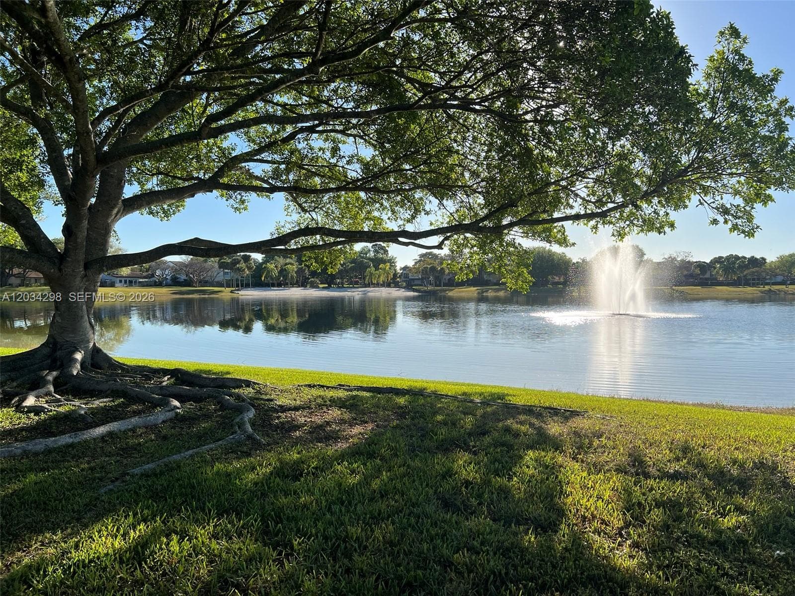 Banyan Tree · #204-31 in Miami - Photo 41