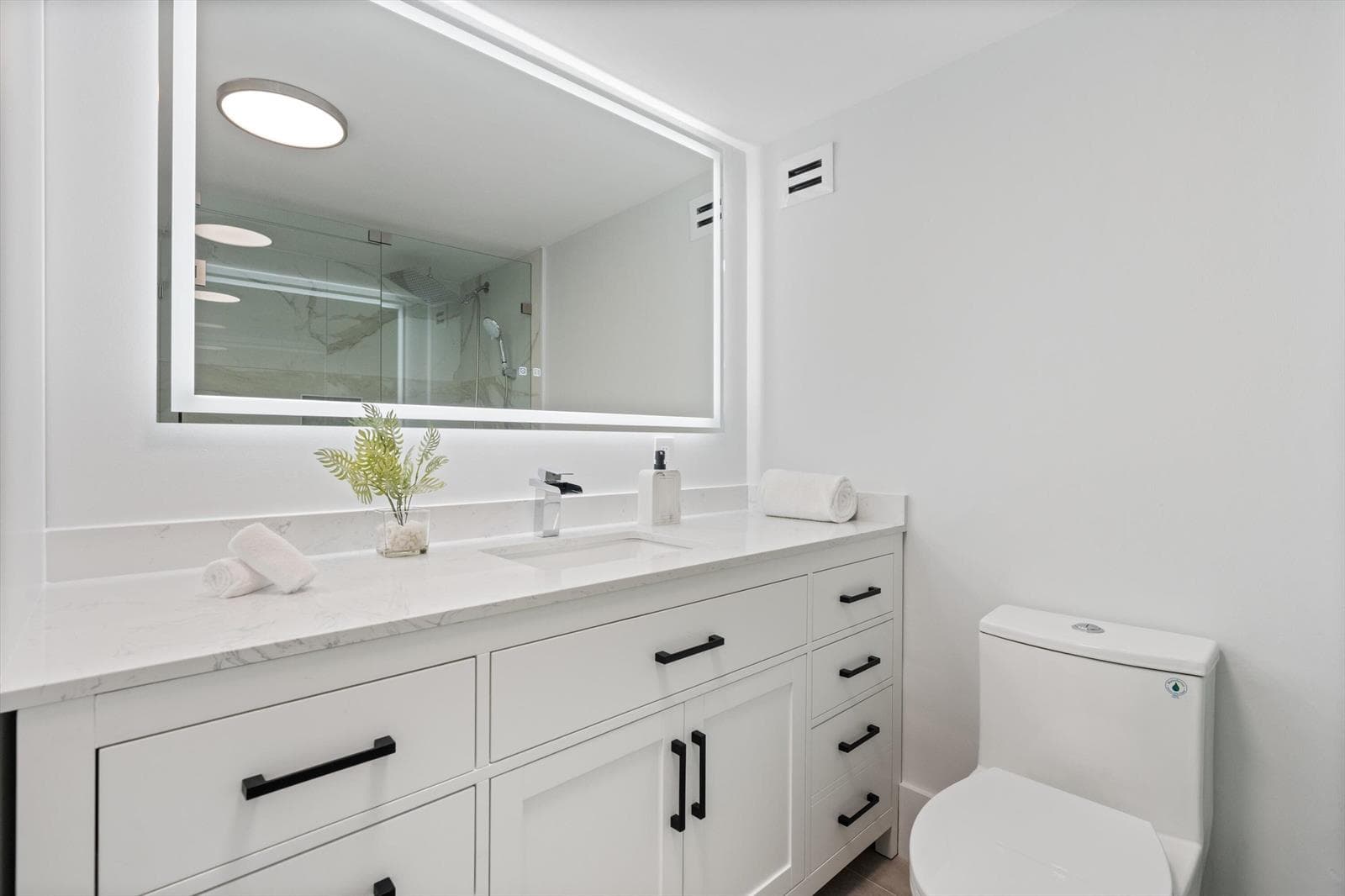 Primary Vanity