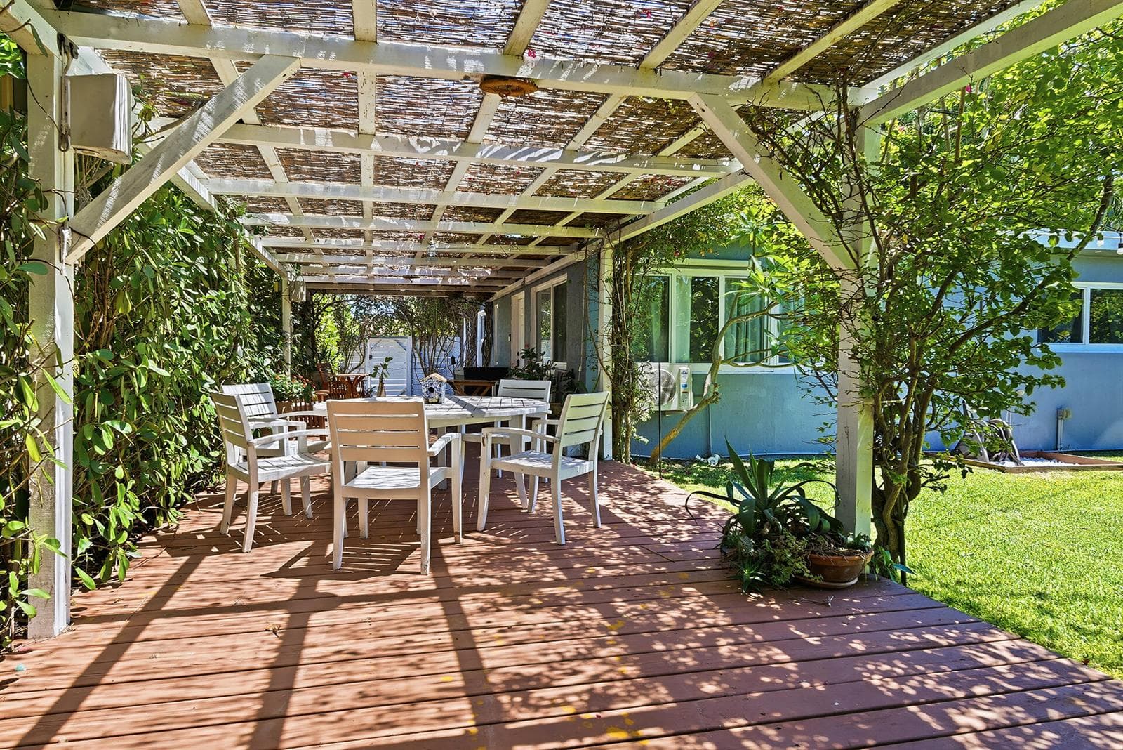 Deck & Yard