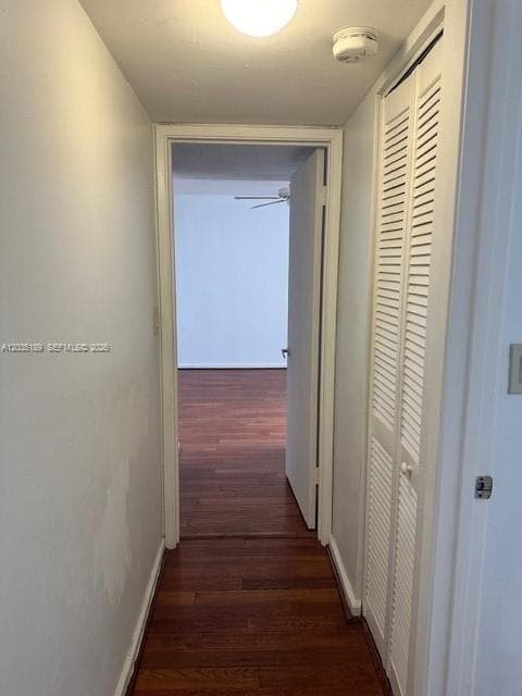 PINEBARK · #302 in Miami - Photo 17