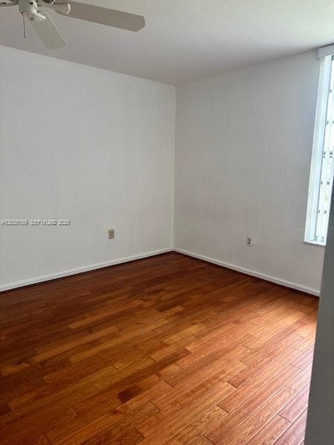 PINEBARK · #302 in Miami - Photo 12