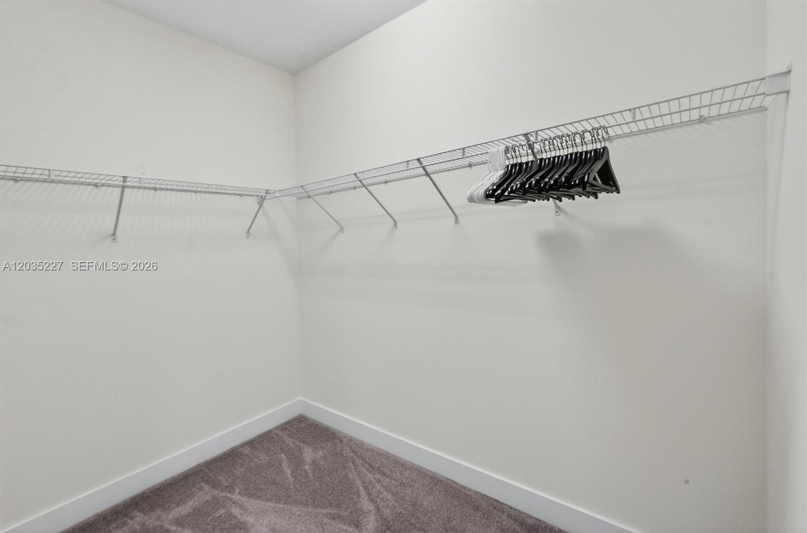 Generous walk-in closet wrapping along two walls with built-in wire shelving for ample hanging storage. Soft carpeting underfoot adds comfort to this practical, spacious retreat.