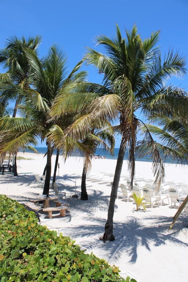 Beach tanning area