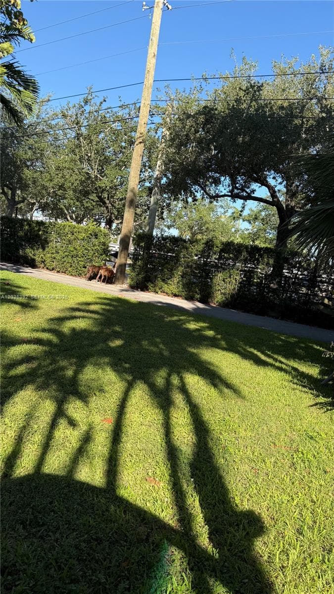 10115 Biscayne Blvd photo 4
