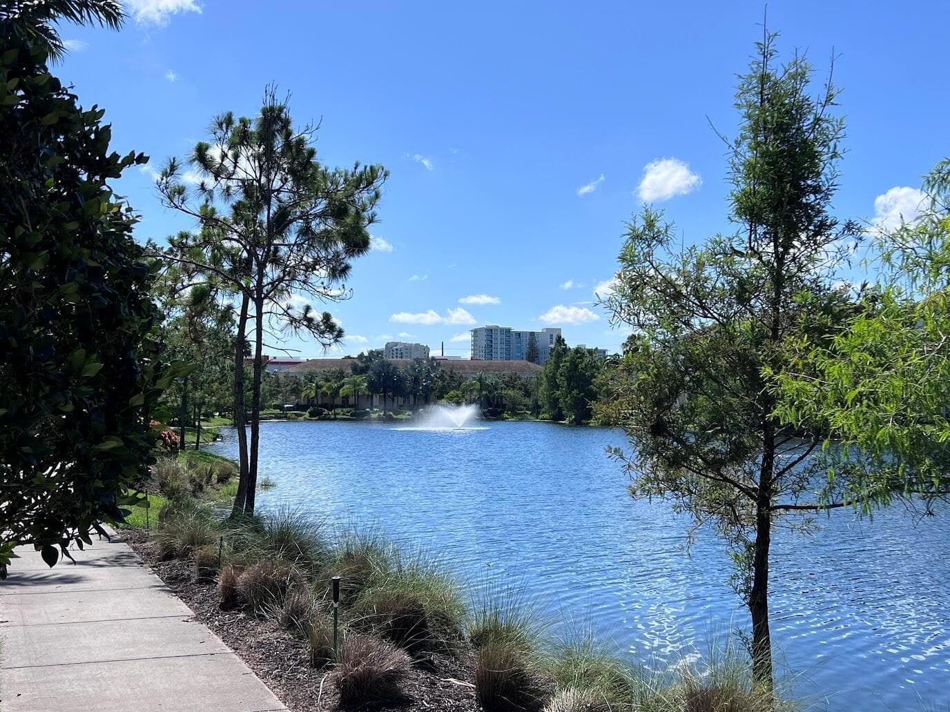 Walkway around the lake