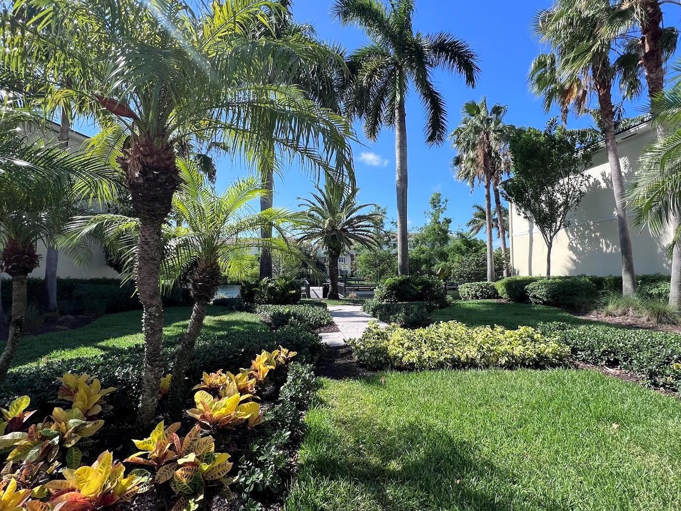 Beautiful Landscaping
