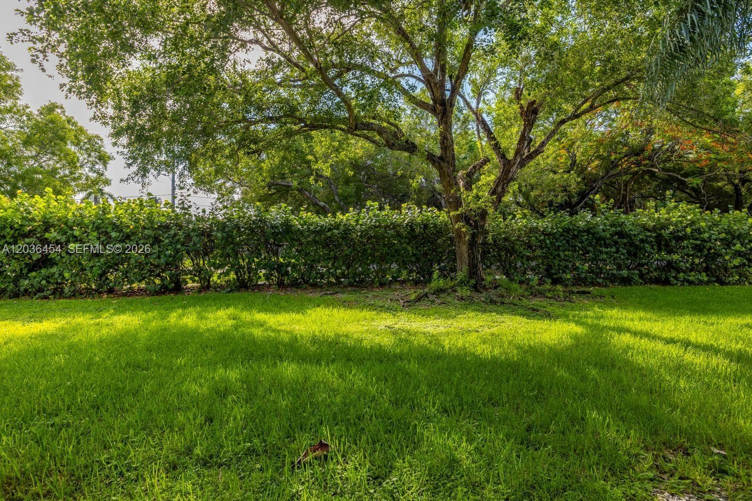 Lakeshore Condo · #1055G in Homestead - Photo 23