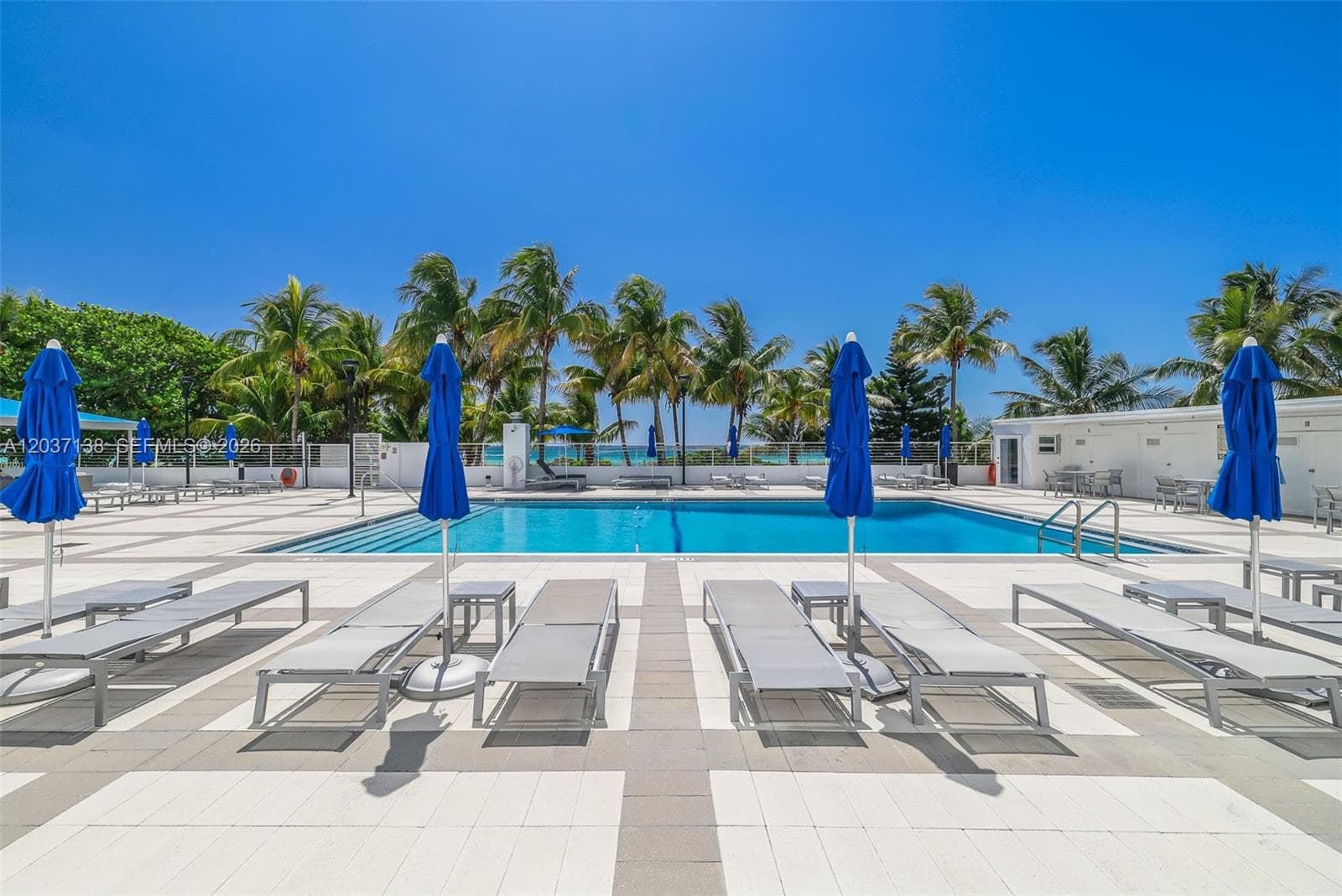 THE CARRIAGE CLUB SOUTH · #6E in Miami Beach - Photo 43