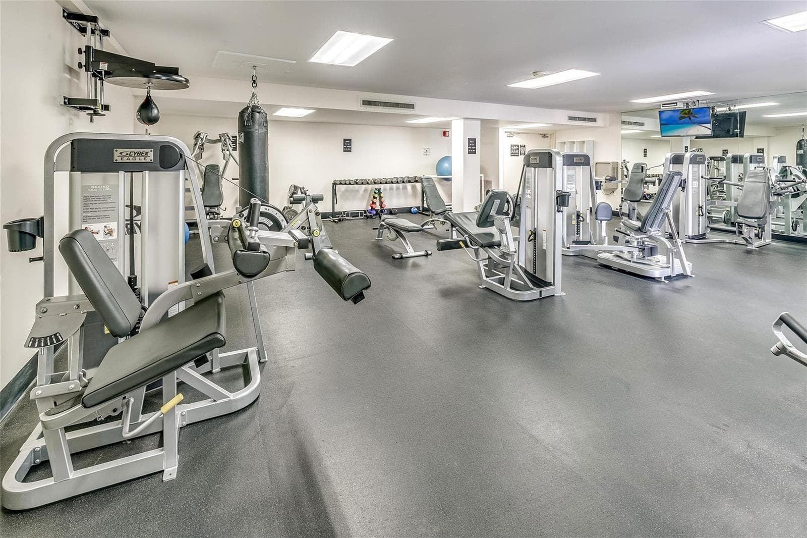 Gym 2