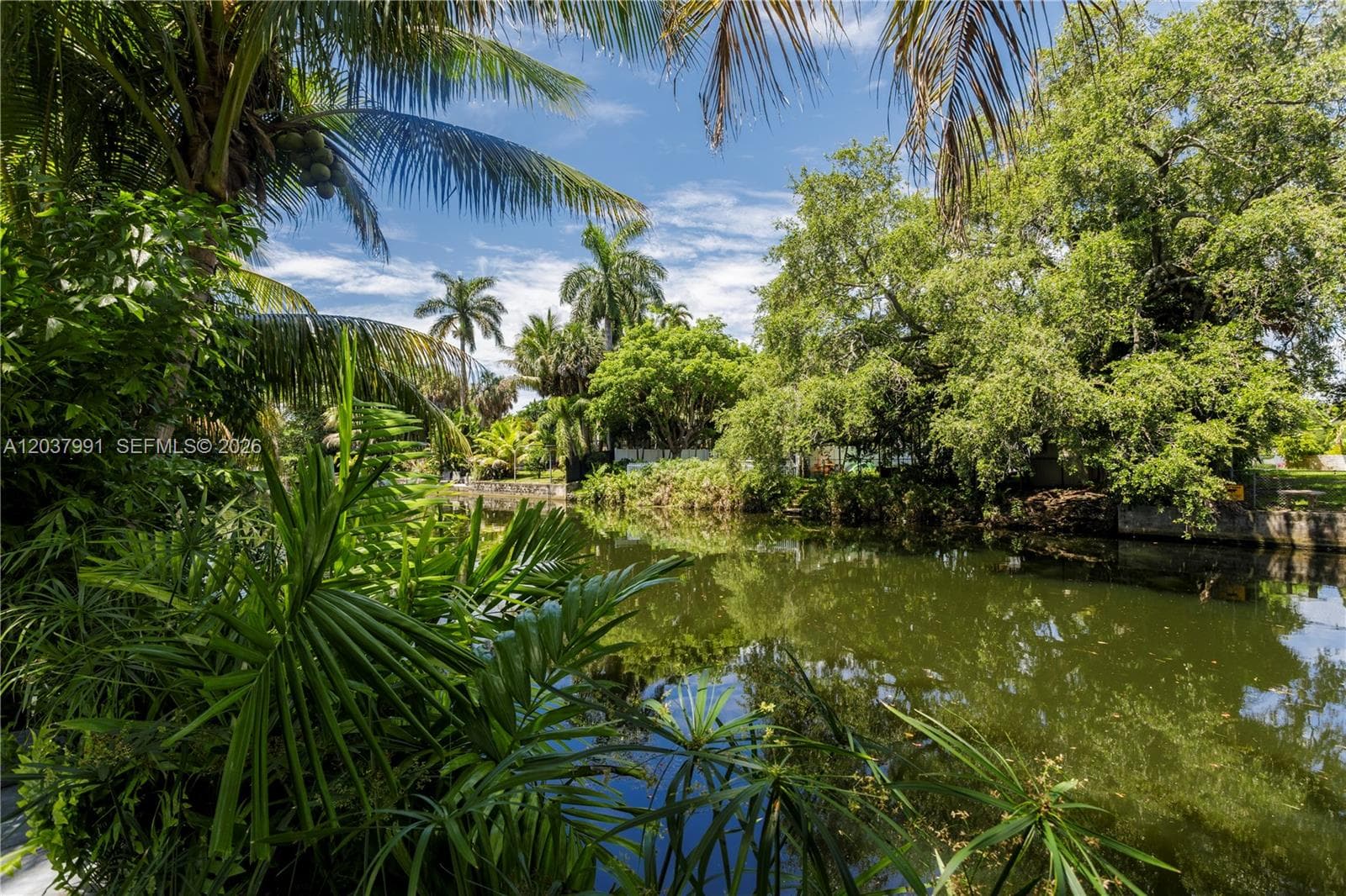 Backyard view
