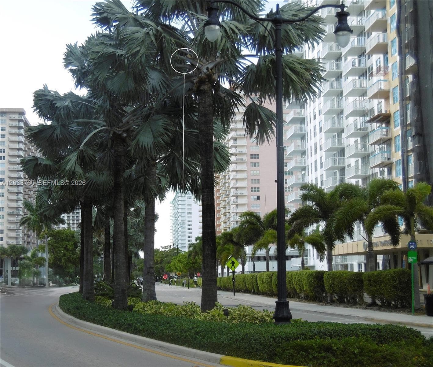 Oleta River State Park Right Next To Sunny Isles Beach