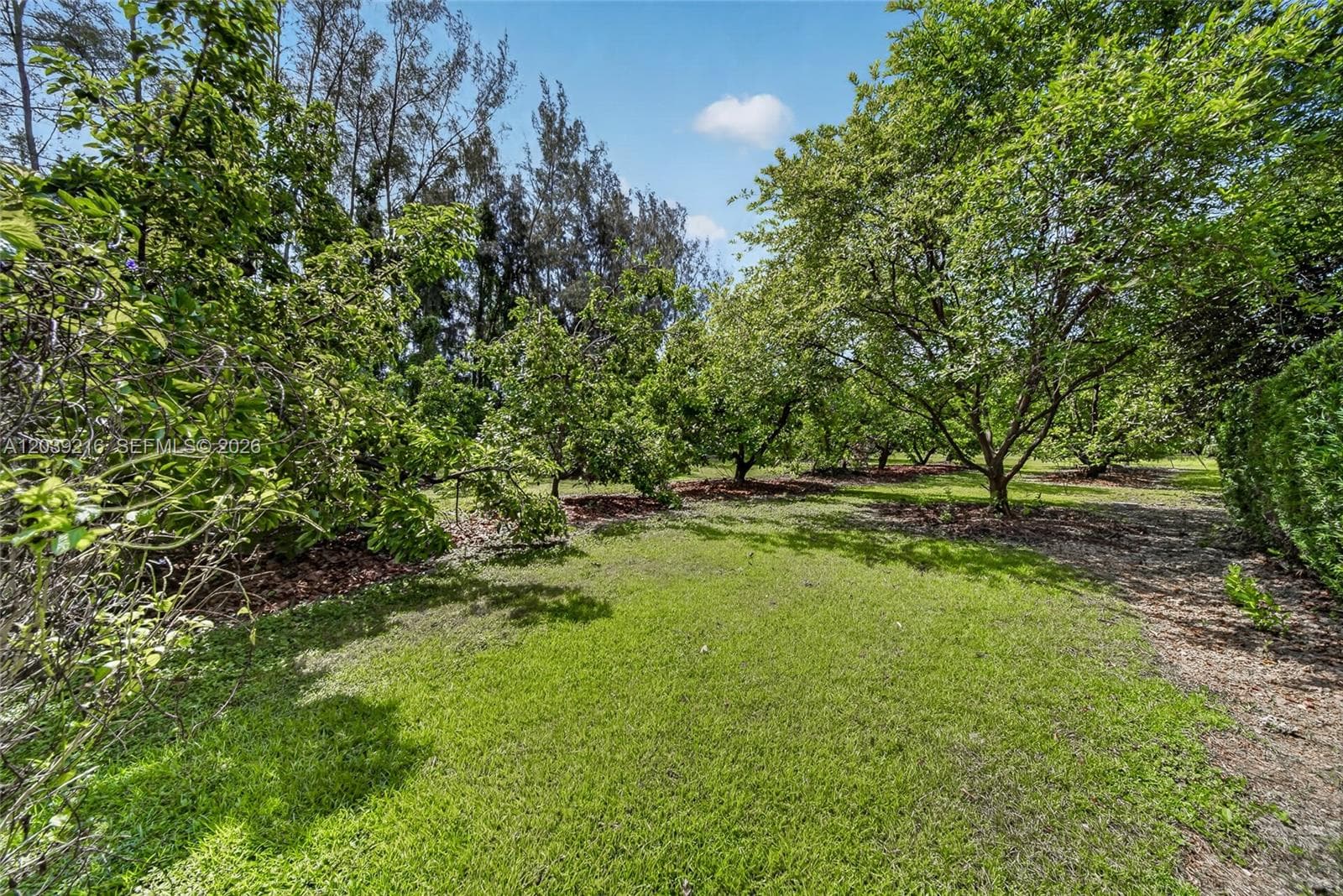 26950 SW 157th Ave photo 65