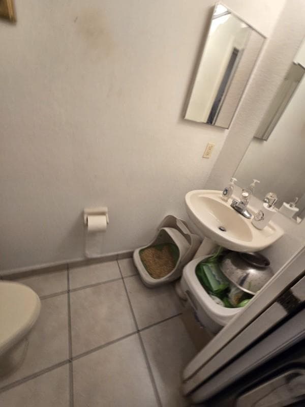 Photo 5