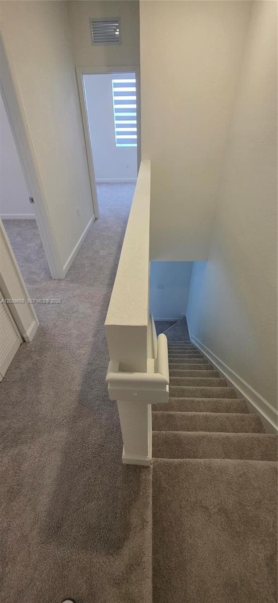 17962 SW 357th Ter #17962 photo 13