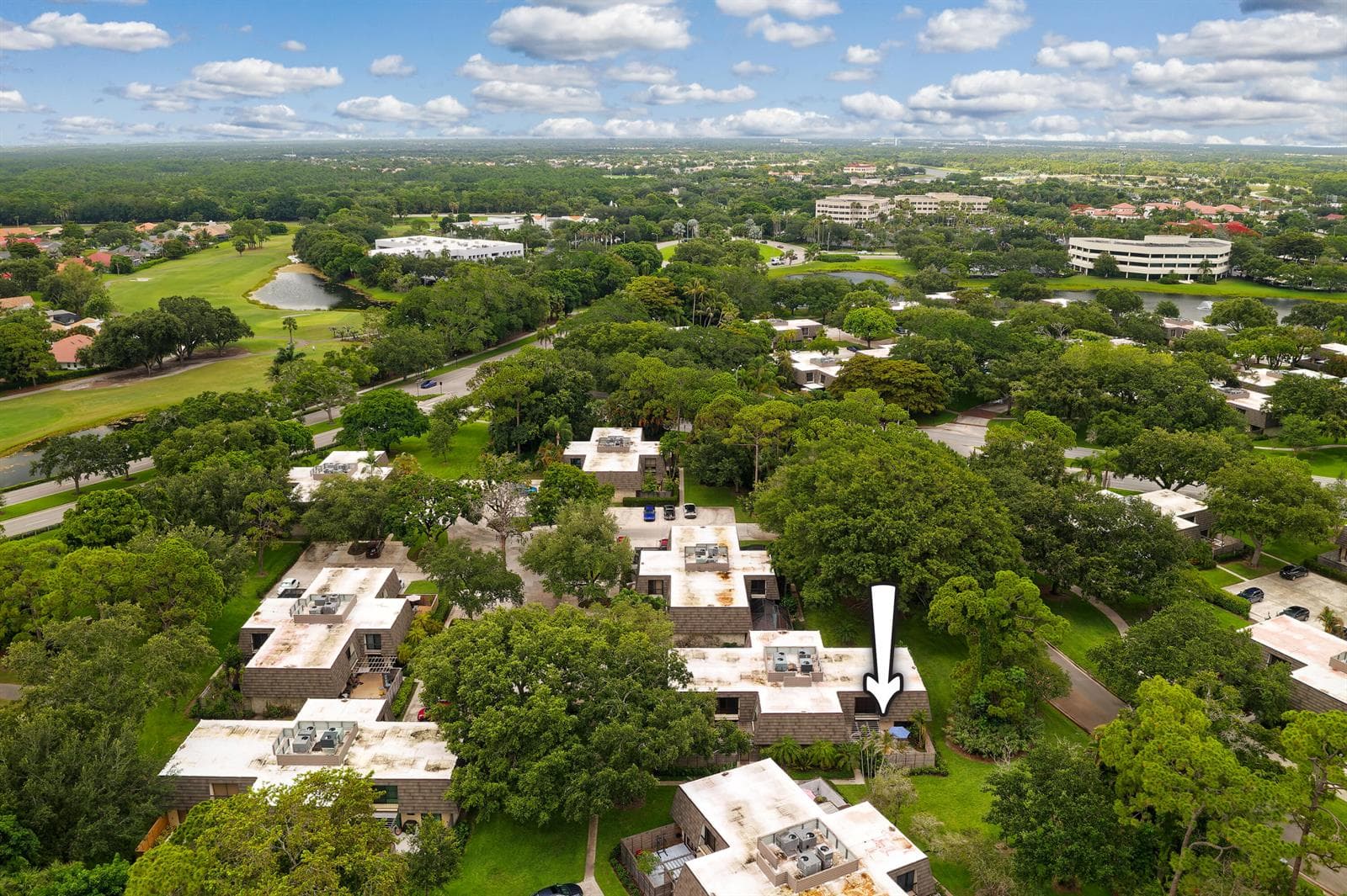 DJI_0439_DxO