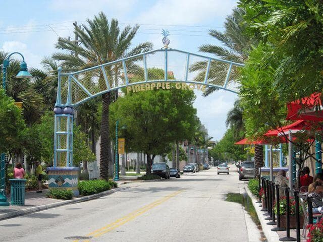 PINEAPPLE GROVE