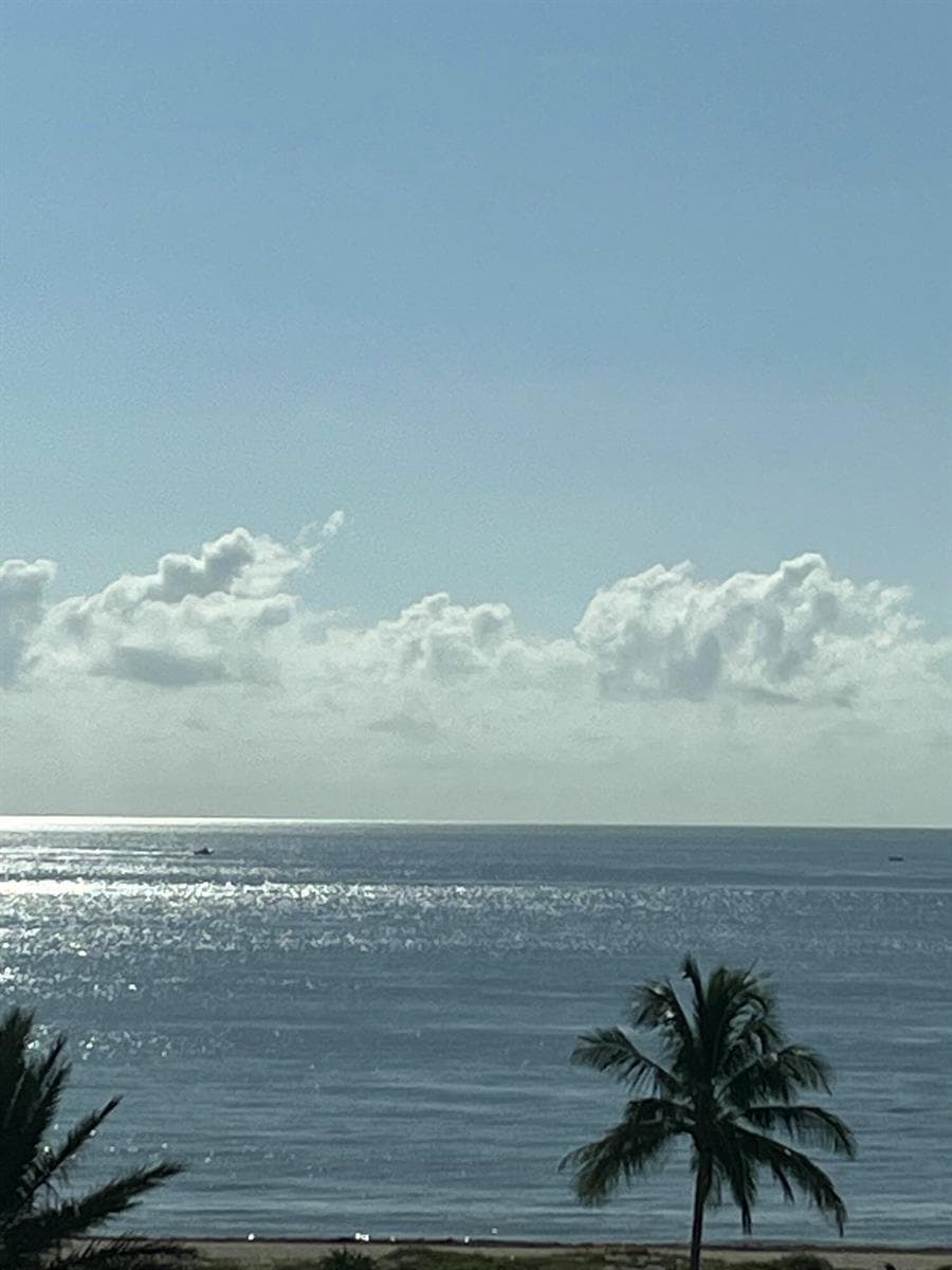 Ocean View