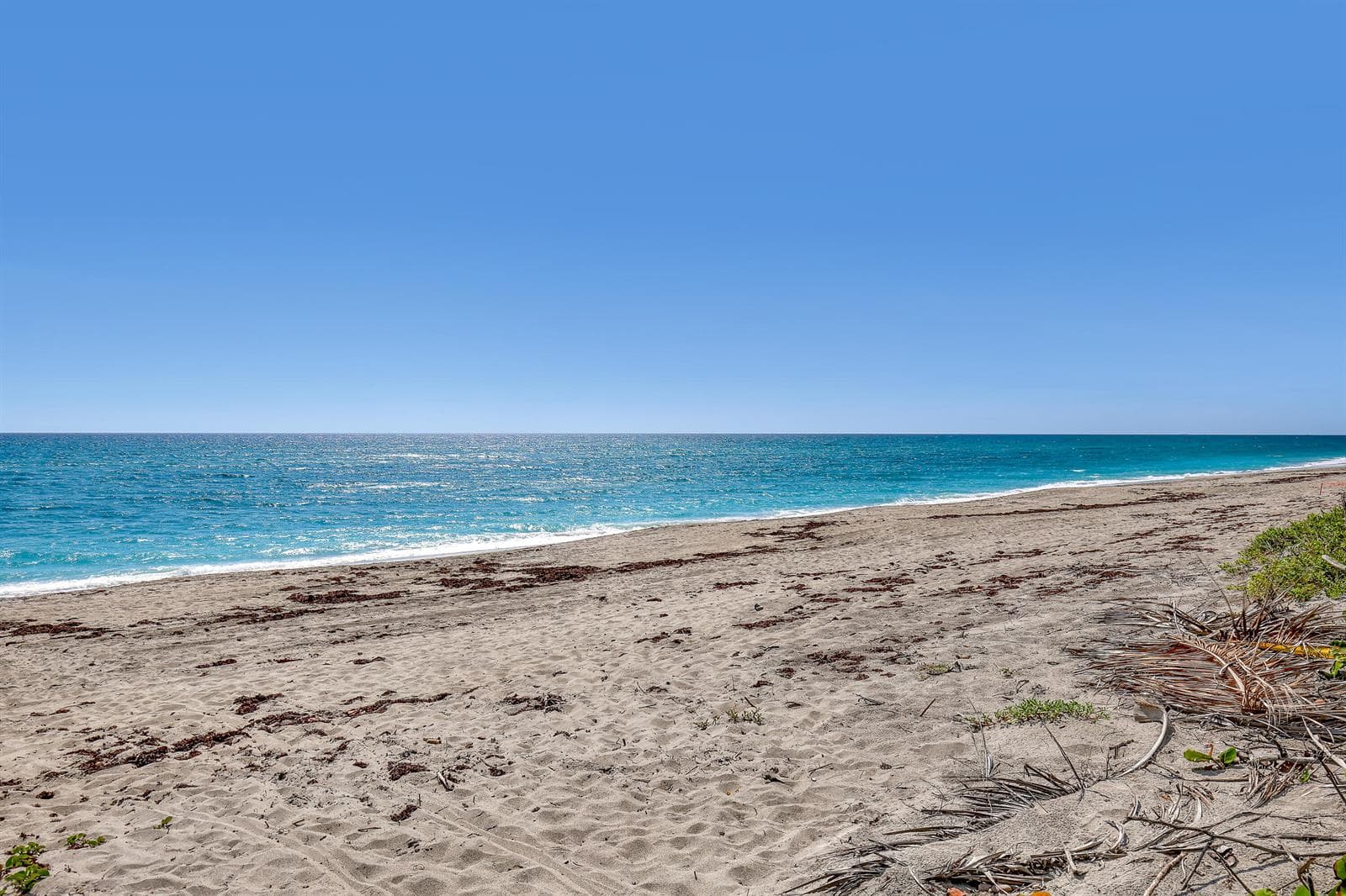 Juno Beach