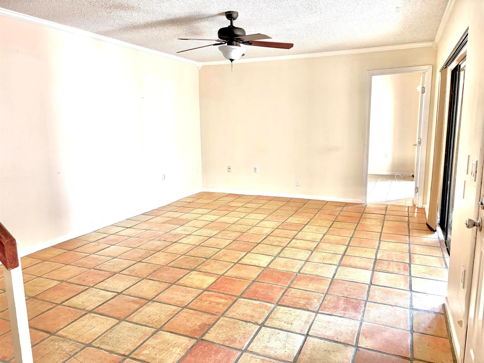 Living room with crown molding