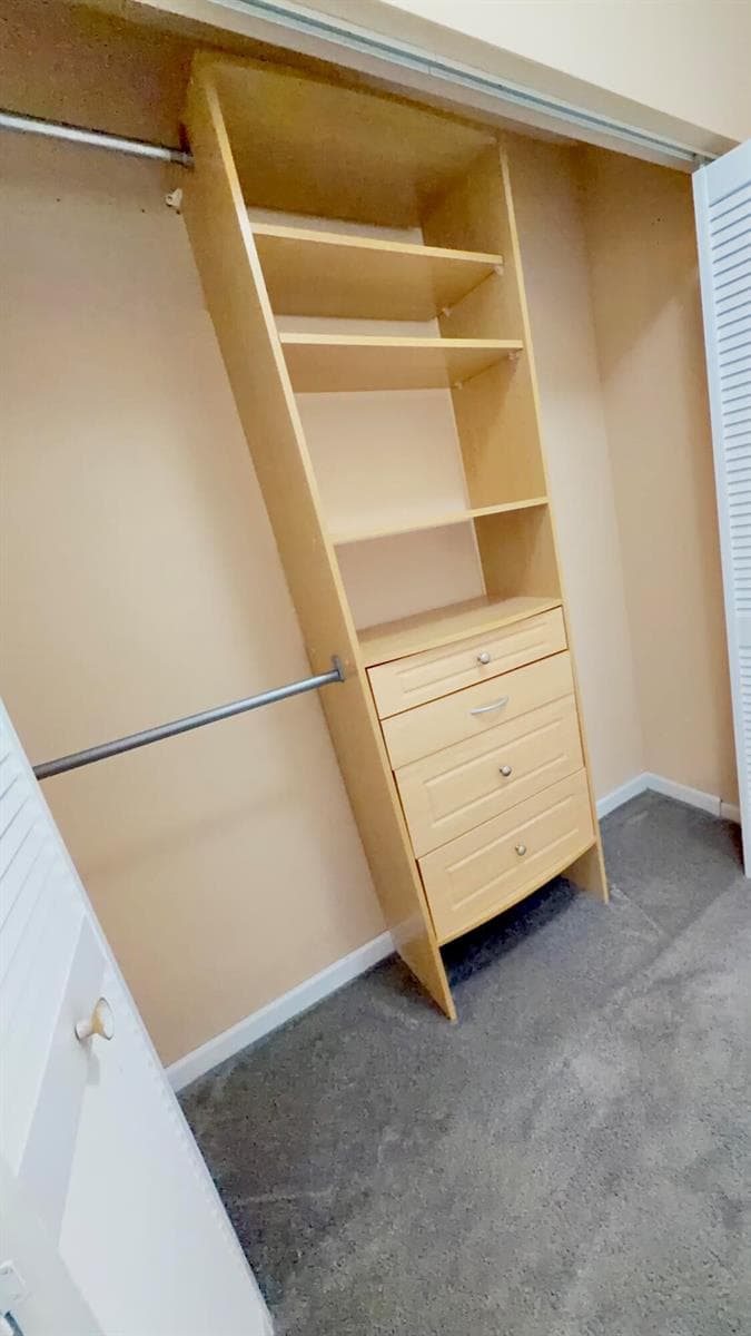 Custom orgainizer in primary flat closet