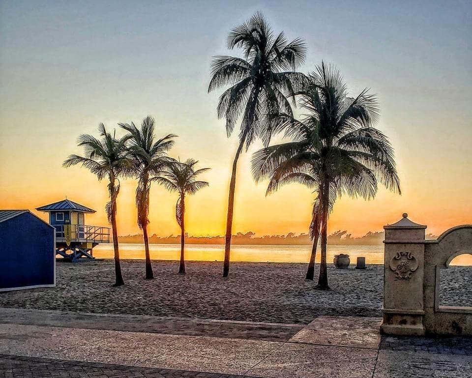 SEAHORSE SUNRISE