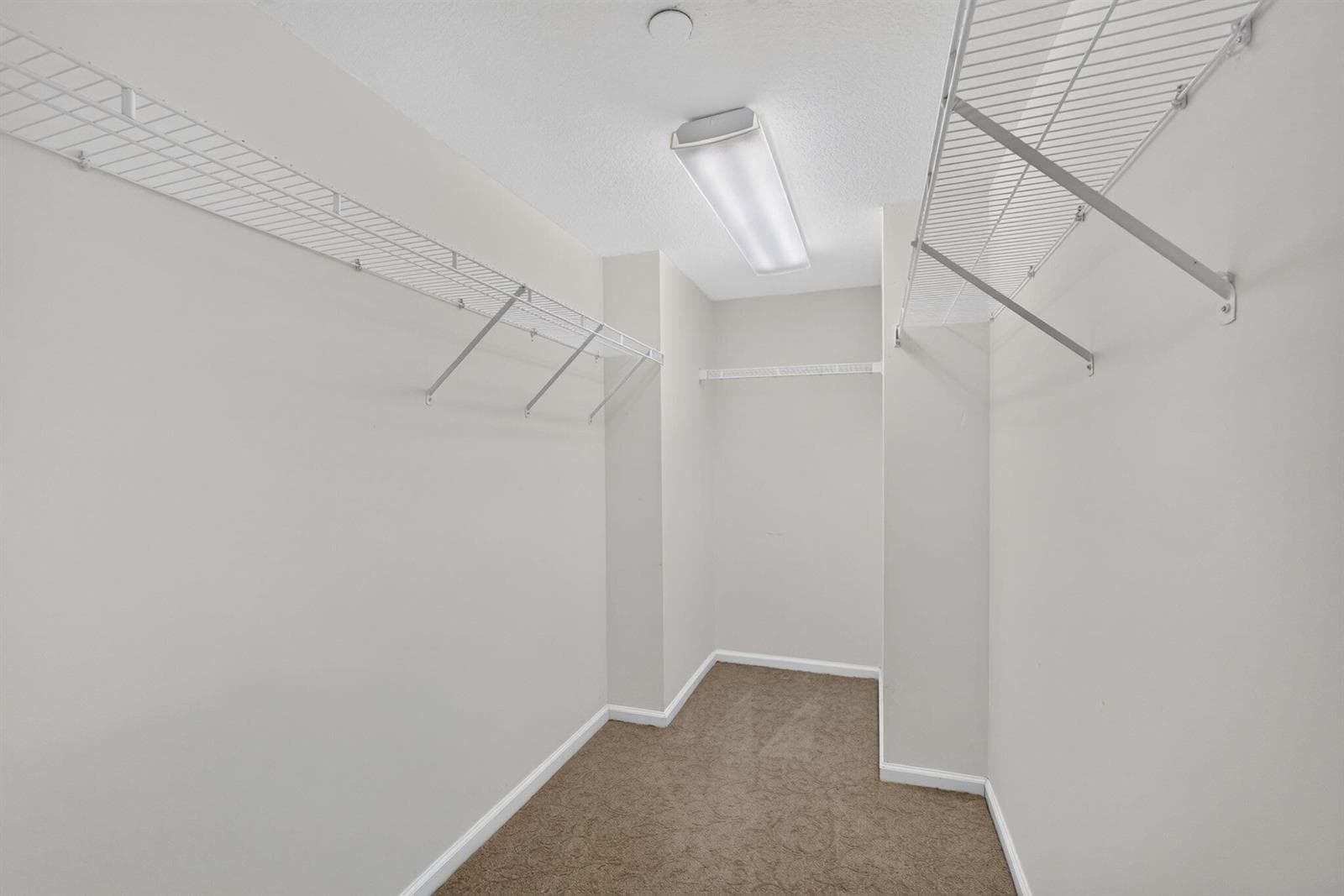 29-web-or-mls-5D1A6138