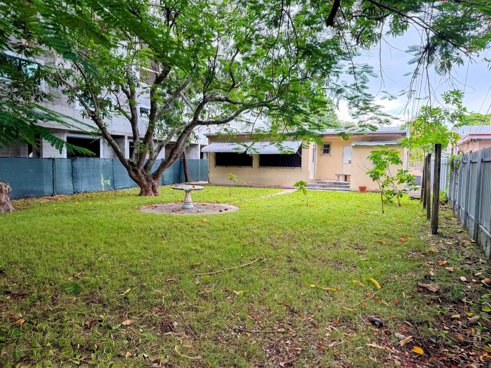 Yard