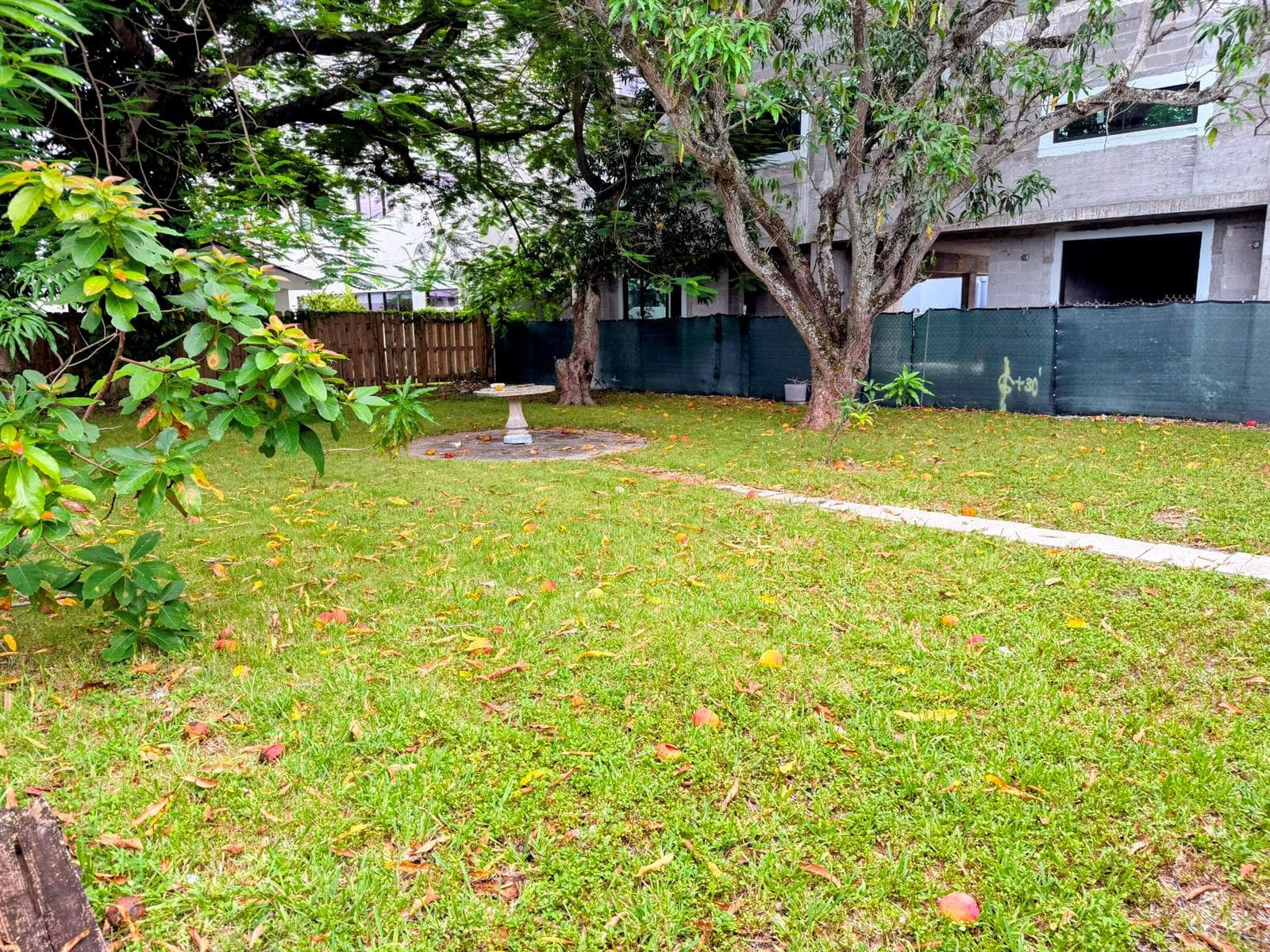 Yard