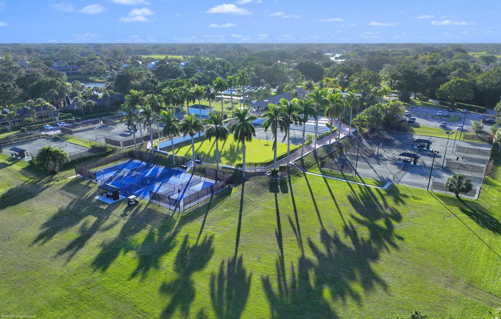 Palm Beach Polo d Club AAP 2025
