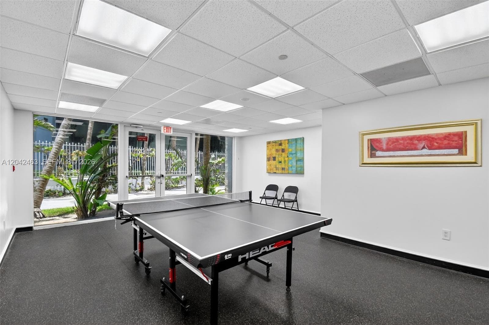 Ping Pong Table