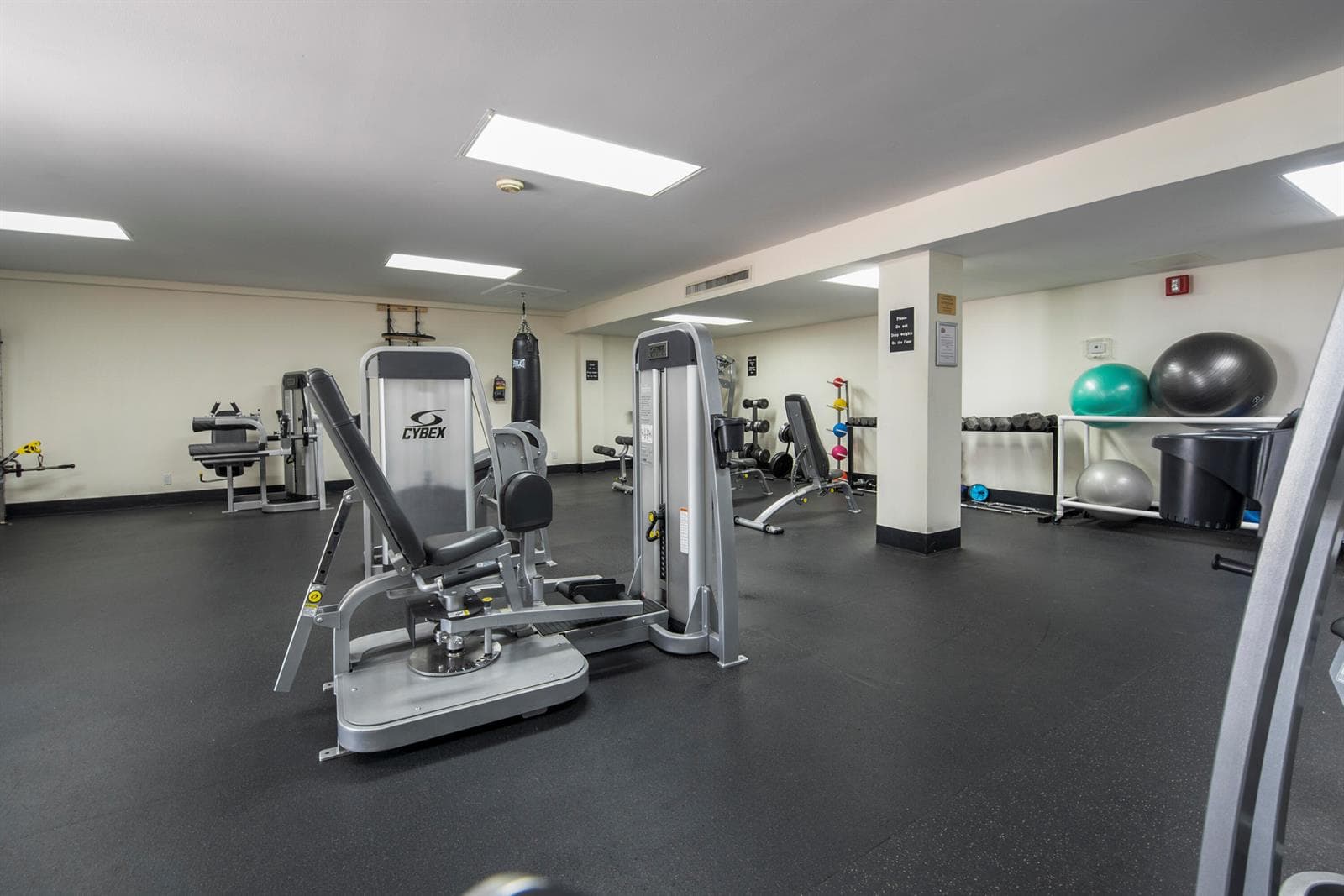 Gym 2