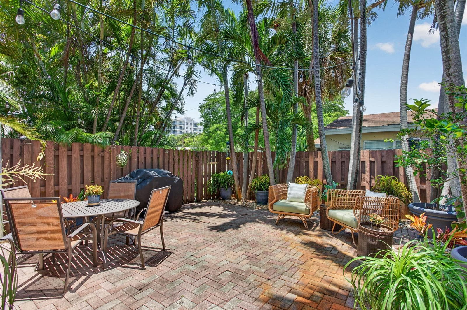 29-web-or-mls-2025-9409