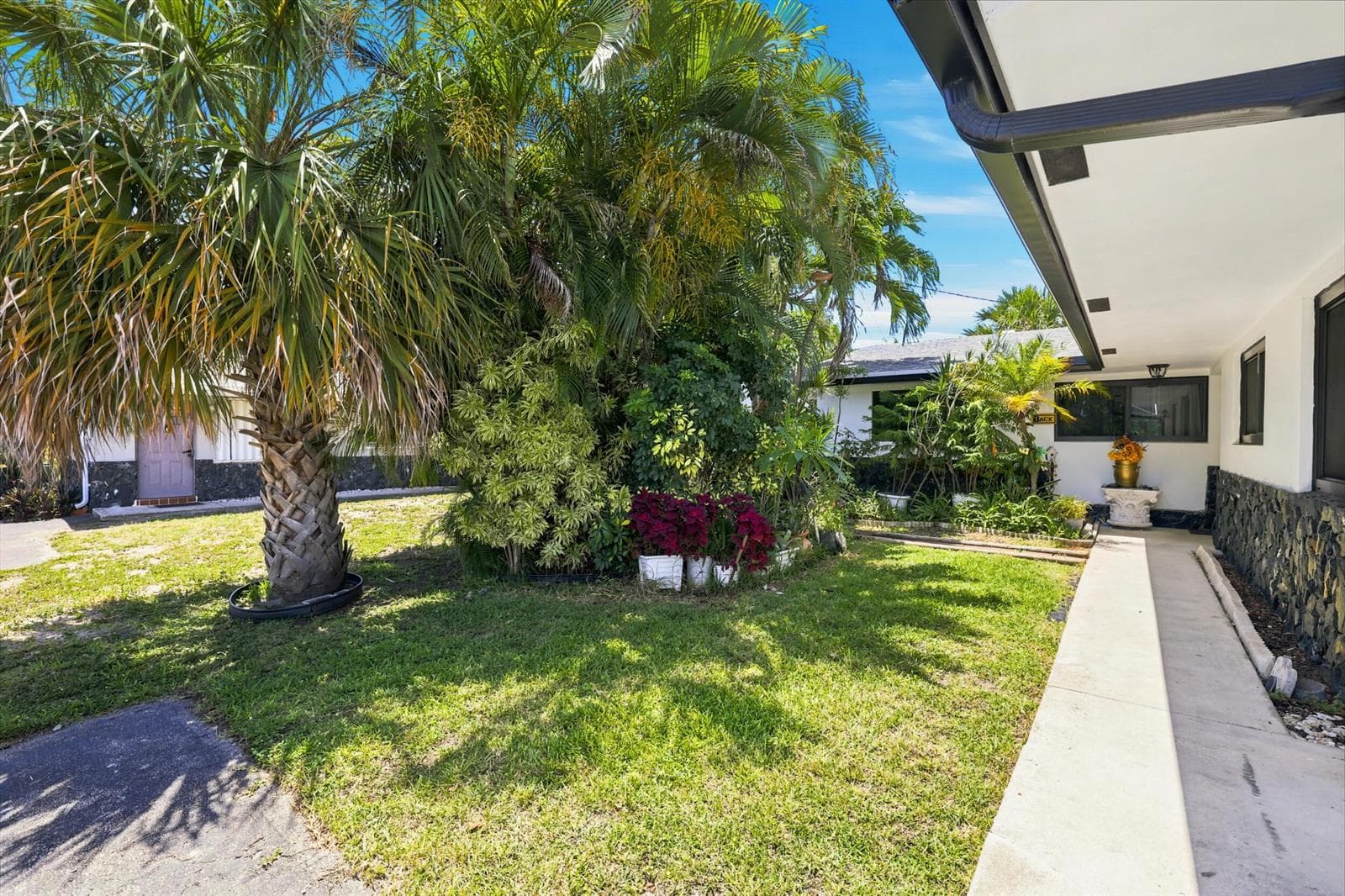 Front Yard