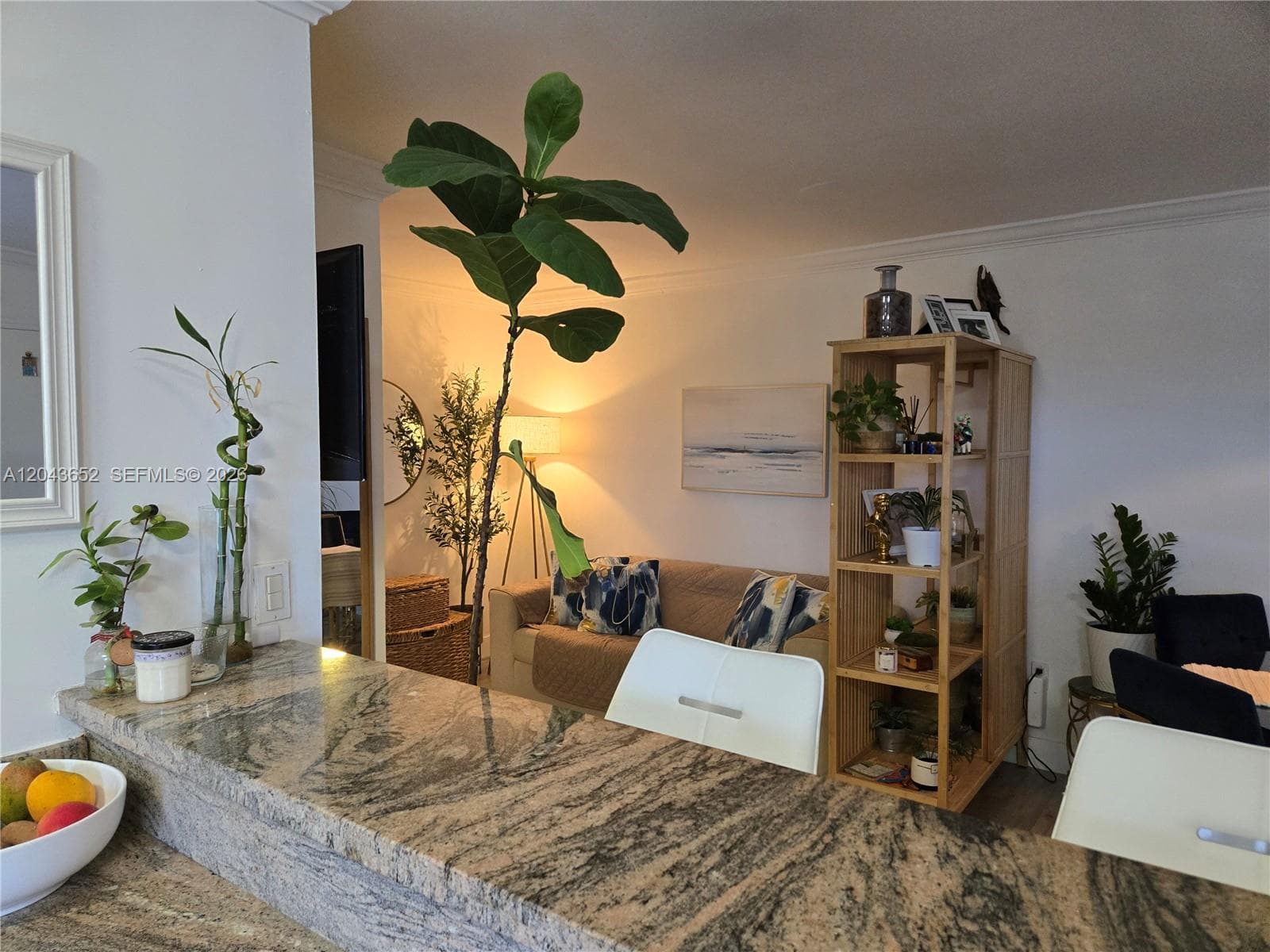 BARCELONA COURT CONDO · #405 in Coral Gables - Photo 5