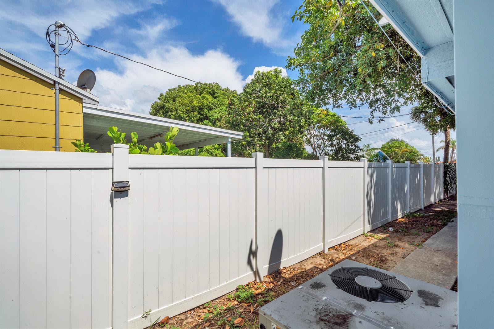 5 Backyard (1)