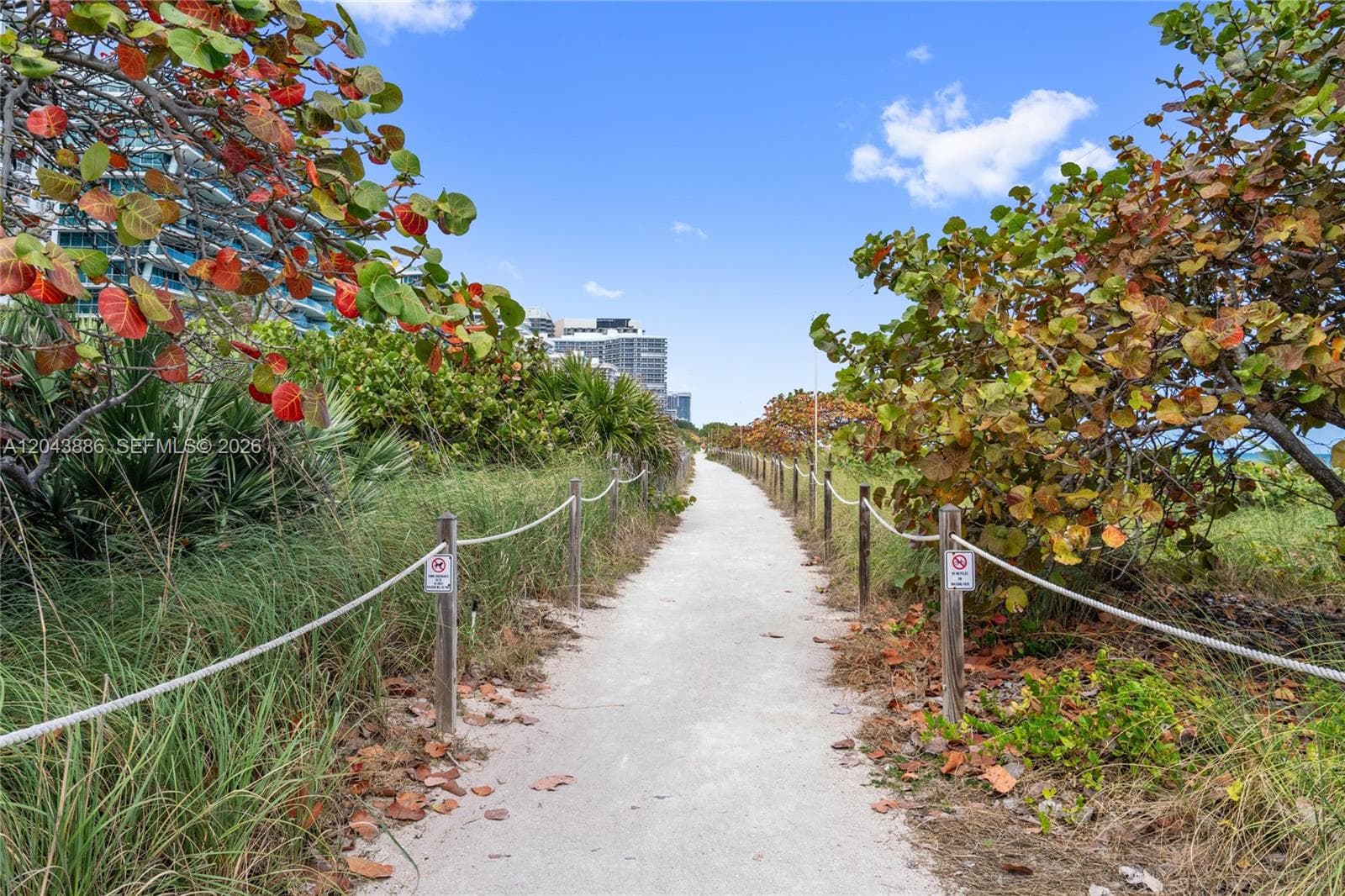 The Manatee · #408 in Surfside - Photo 53