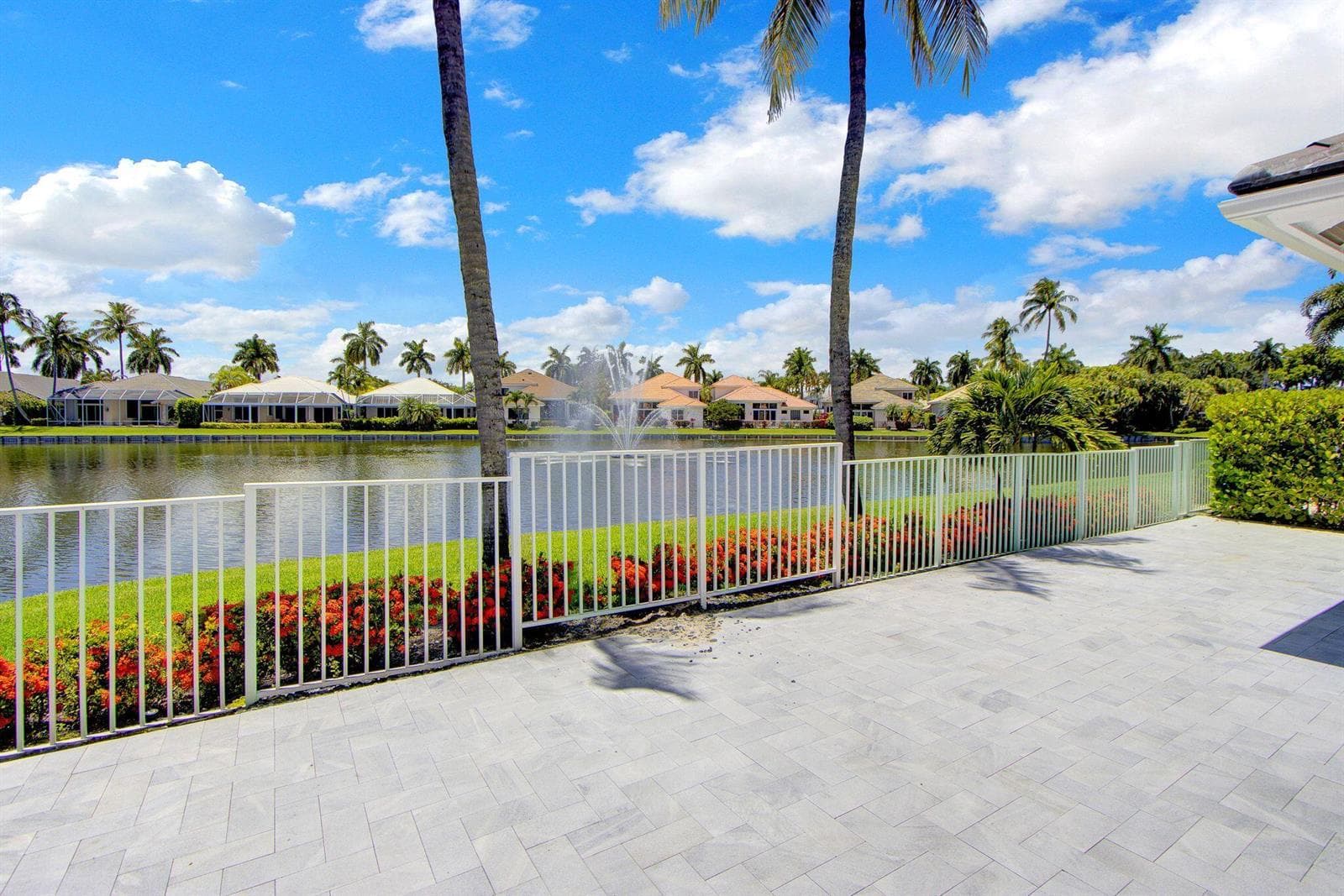 Patio - View