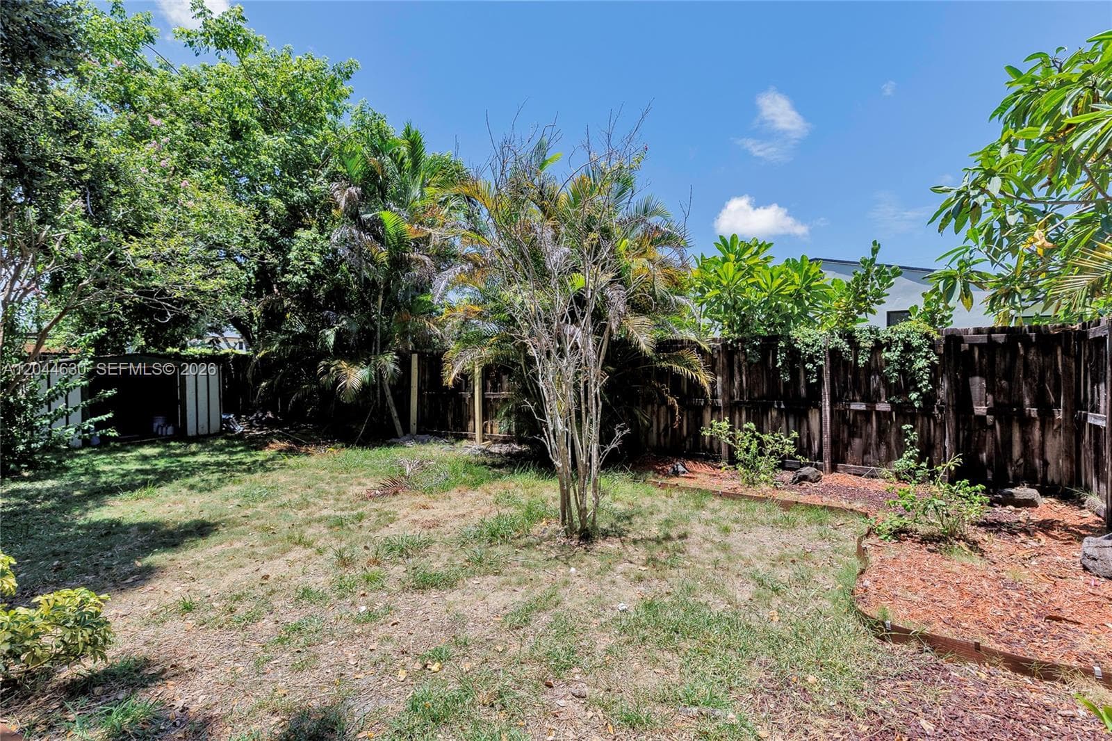 Backyard, showing shed