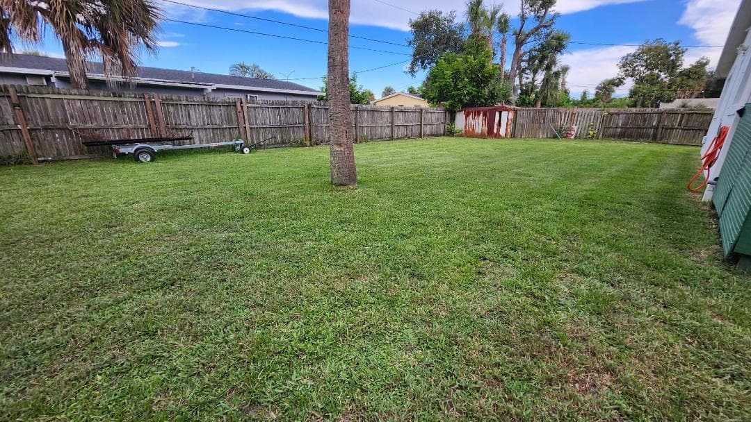 Back yard